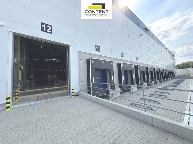 Pronájem výrobních prostor, Most - Čepirohy, U Lesíka, 9330 m2