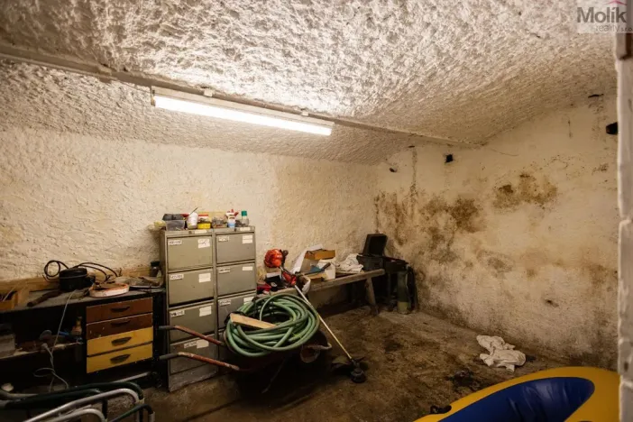 Prodej zemědělské usedlosti, Žihle - Kalec, 700 m2