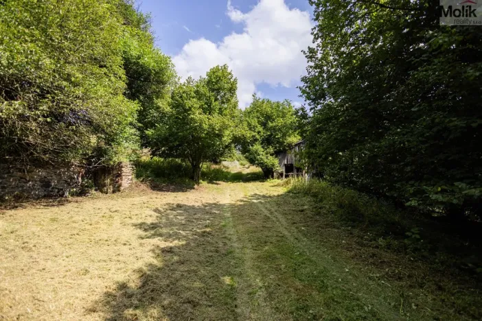 Prodej zemědělské usedlosti, Žihle - Kalec, 700 m2