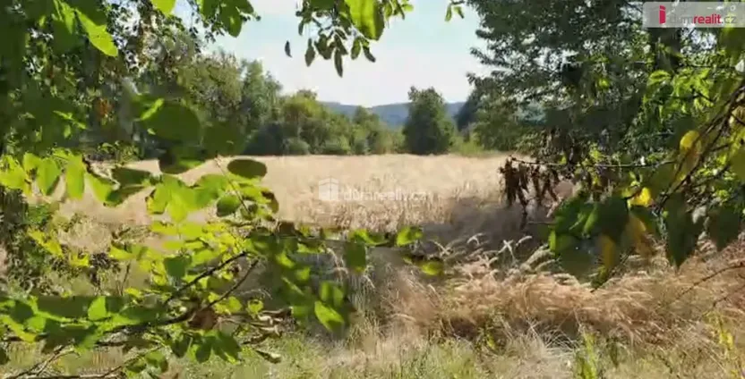 Prodej zahrady, Hranice - Hranice IV-Drahotuše, 1141 m2