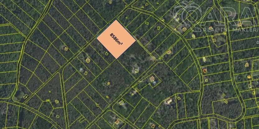 Prodej lesa, Štěchovice, 8586 m2