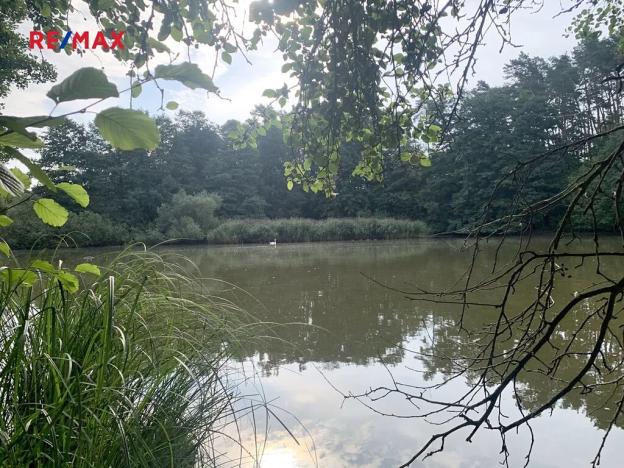 Prodej zemědělské usedlosti, Čistá, 80 m2