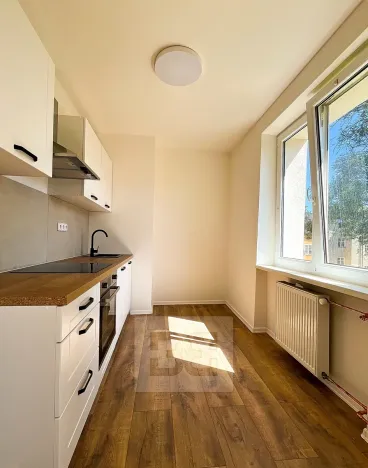 Pronájem bytu 2+1, Ústí nad Labem, Studentská, 52 m2