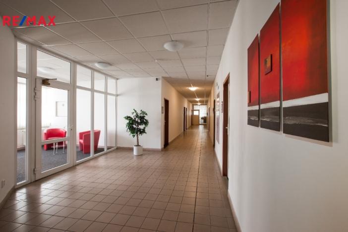 Pronájem kanceláře, Hradec Králové - Slezské Předměstí, Bieblova, 35 m2