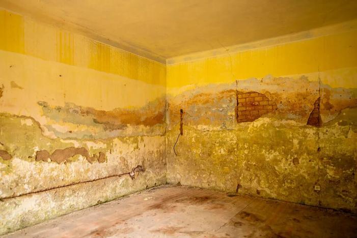 Prodej rodinného domu, Velemyšleves, 176 m2