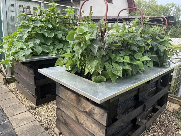 Prodej bytu 3+1, Brniště, 142 m2