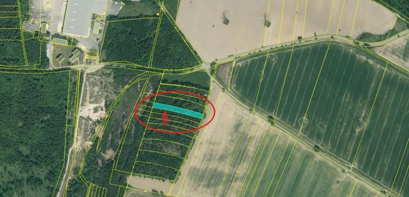 Prodej podílu lesa, Dříteň, 3282 m2