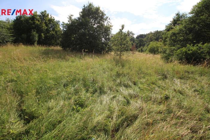 Prodej louky, Frýdlant, 25331 m2