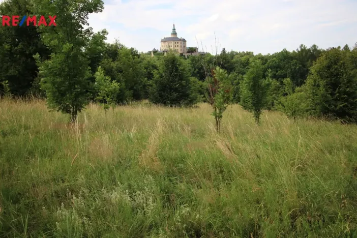 Prodej louky, Frýdlant, 25331 m2