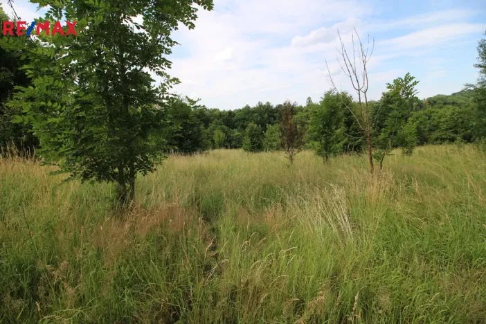 Prodej louky, Frýdlant, 25331 m2