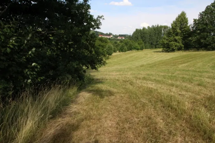 Prodej louky, Frýdlant, 25331 m2