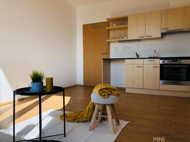 Pronájem bytu 1+kk, Brno, Svatoplukova, 27 m2