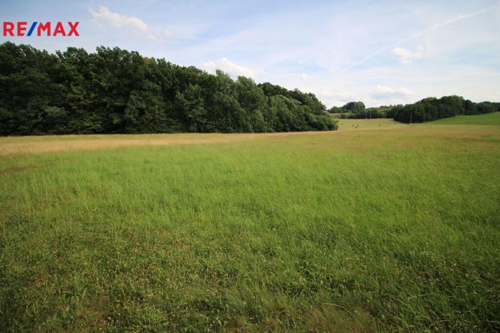 Prodej louky, Frýdlant, 48192 m2