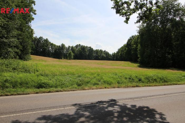 Prodej louky, Frýdlant, 48192 m2