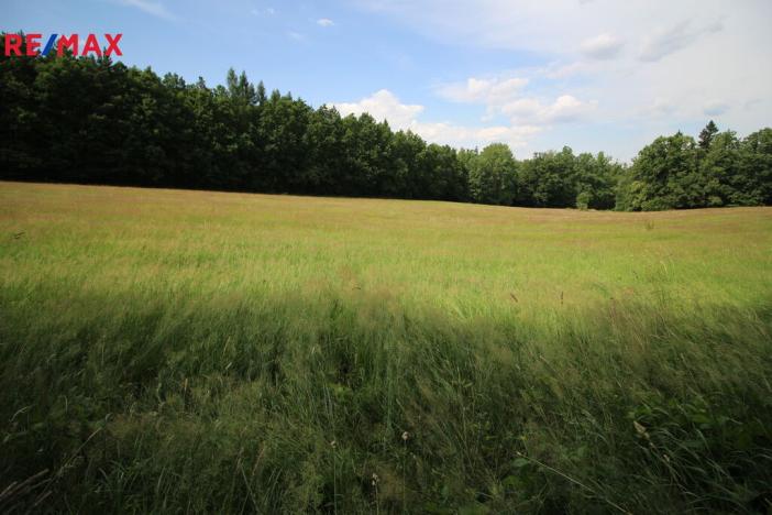 Prodej louky, Frýdlant, 48192 m2