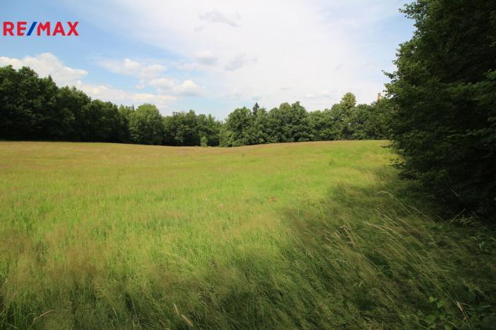 Prodej louky, Frýdlant, 48192 m2