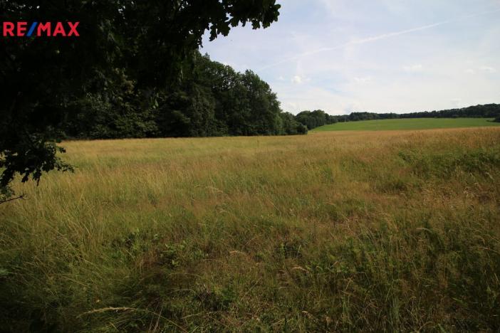 Prodej louky, Frýdlant, 48192 m2