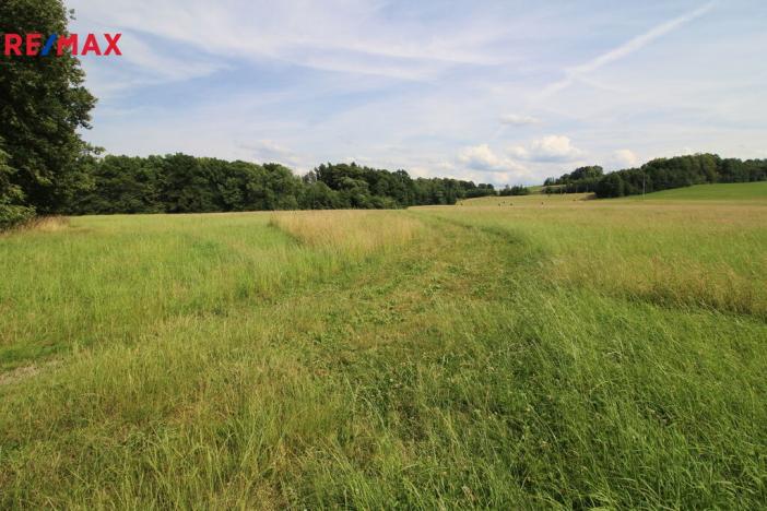 Prodej louky, Frýdlant, 48192 m2