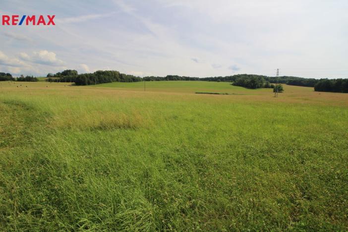 Prodej louky, Frýdlant, 48192 m2