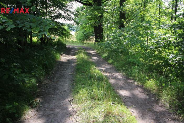 Prodej louky, Frýdlant, 48192 m2