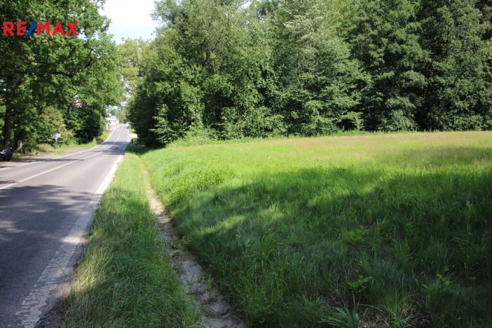 Prodej louky, Frýdlant, 48192 m2