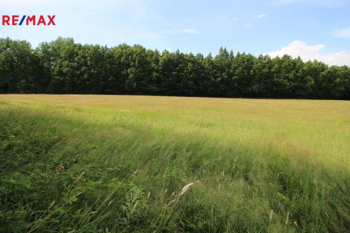 Prodej louky, Frýdlant, 48192 m2