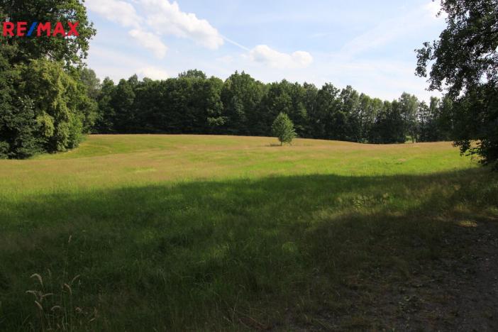 Prodej louky, Frýdlant, 48192 m2