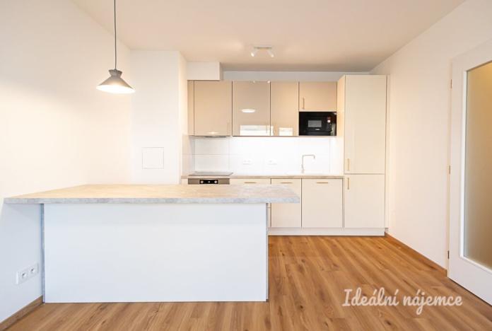 Pronájem bytu 2+kk, Praha - Žižkov, Olgy Havlové, 45 m2