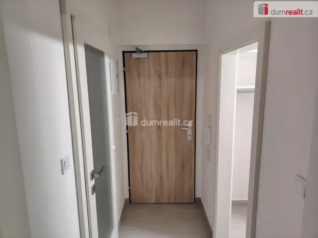 Pronájem bytu 1+kk, Děčín - Děčín III-Staré Město, Zelená, 21 m2