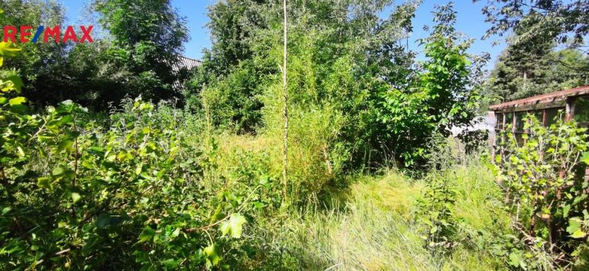 Prodej chaty, Staré Město, 40 m2