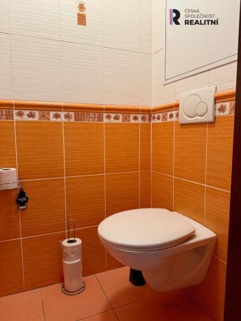 Prodej bytu 3+1, Žatec, Příkrá, 68 m2