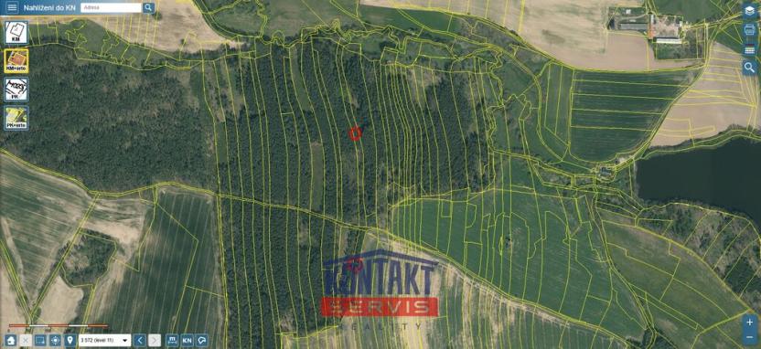 Prodej lesa, Třebějice, 10125 m2