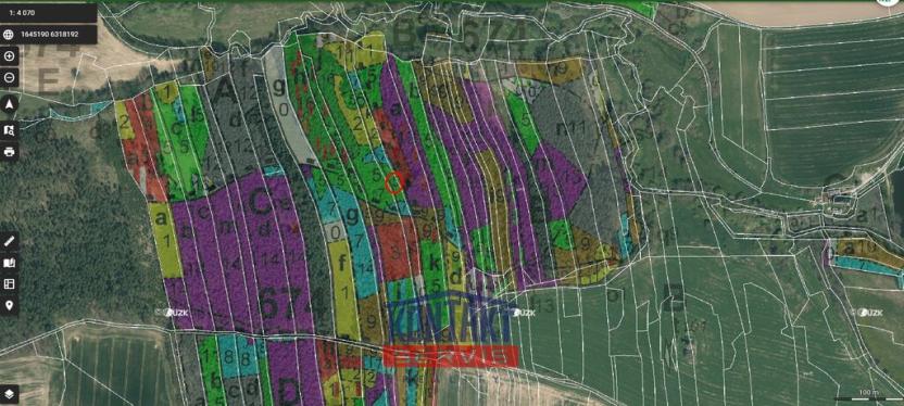 Prodej lesa, Třebějice, 10125 m2