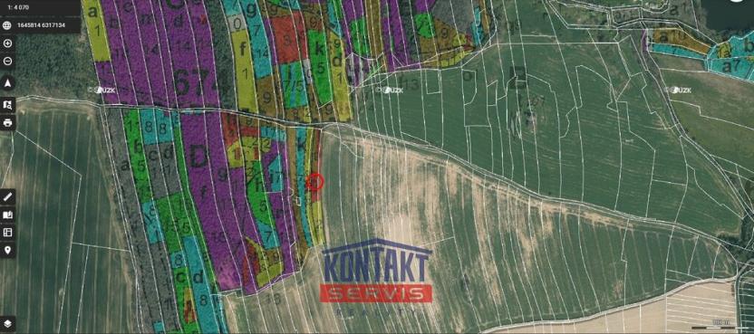 Prodej lesa, Třebějice, 10125 m2
