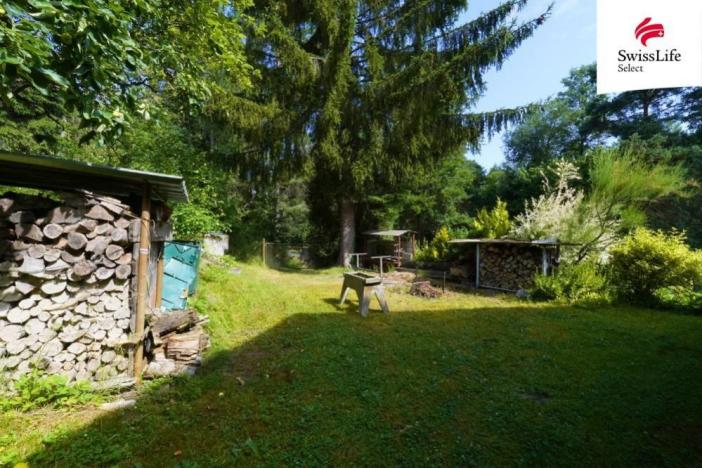 Prodej chalupy, Prosenická Lhota - Břišejov, 370 m2