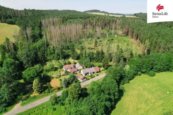 Prodej chalupy, Prosenická Lhota - Břišejov, 370 m2