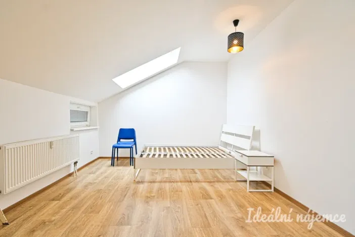 Pronájem bytu 1+kk, Brno, Cejl, 31 m2