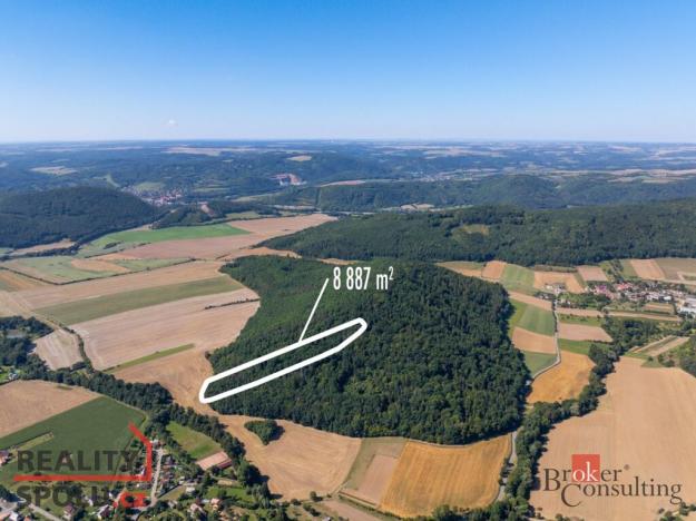 Prodej lesa, Lomnička, 8887 m2