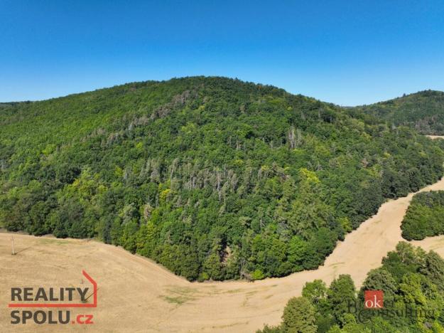 Prodej lesa, Lomnička, 8887 m2