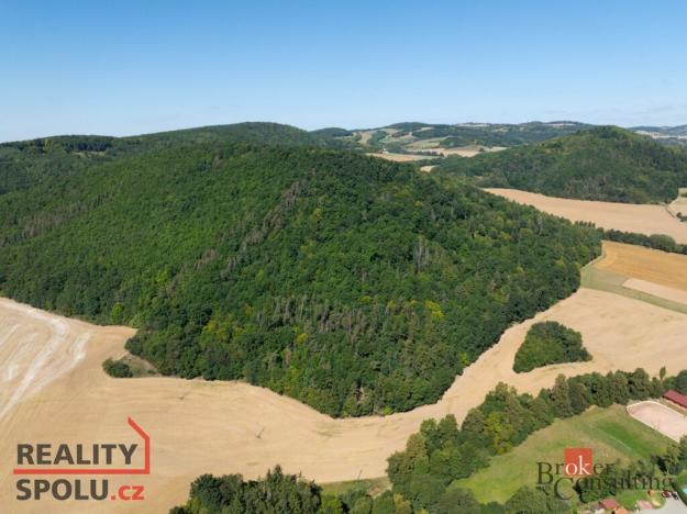 Prodej lesa, Lomnička, 8887 m2