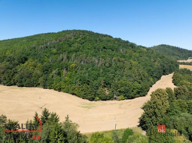 Prodej lesa, Lomnička, 8887 m2