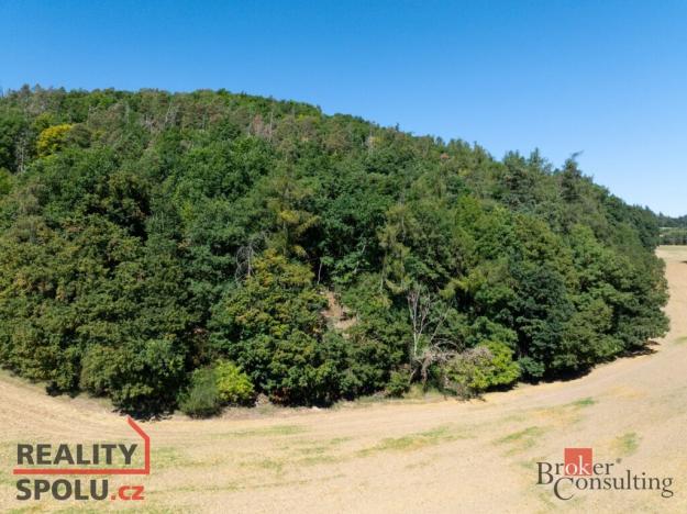 Prodej lesa, Lomnička, 8887 m2