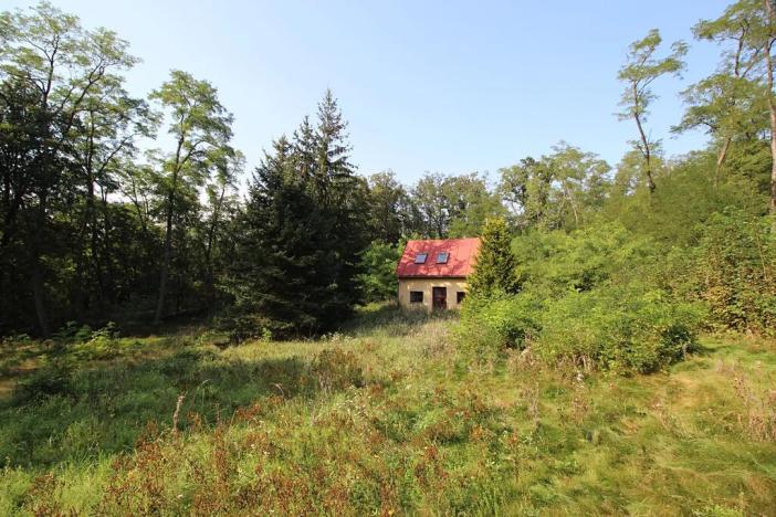 Prodej chaty, Husinec, Nad Údolím, 80 m2