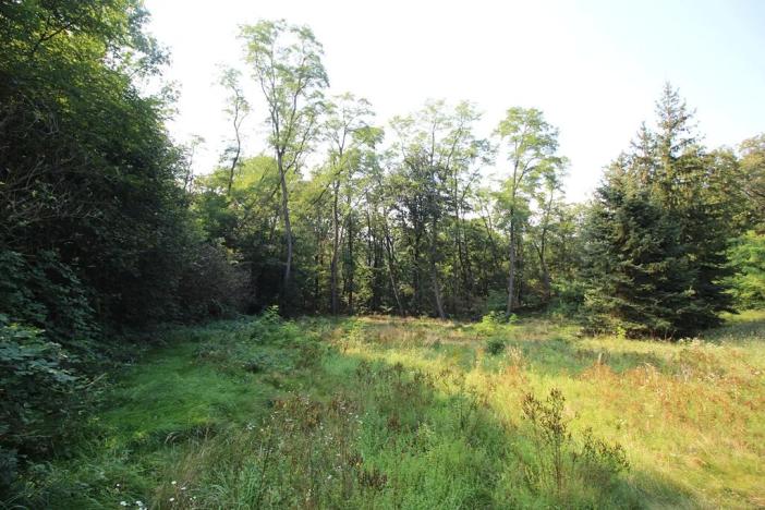 Prodej chaty, Husinec, Nad Údolím, 80 m2