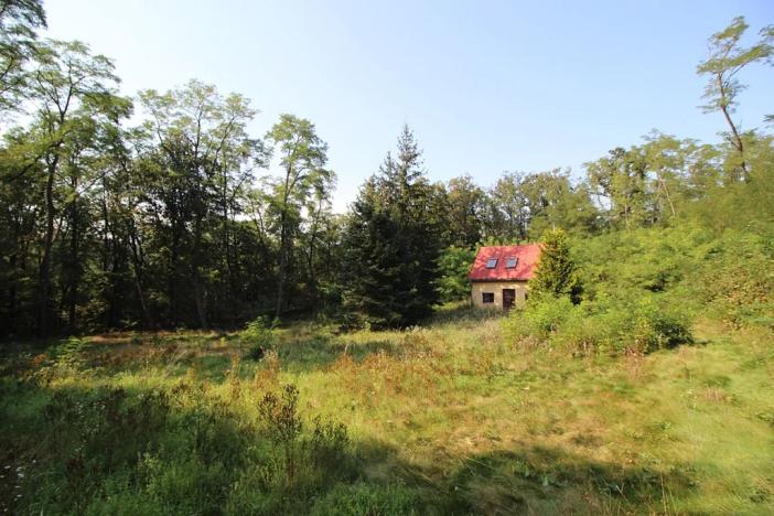 Prodej chaty, Husinec, Nad Údolím, 80 m2