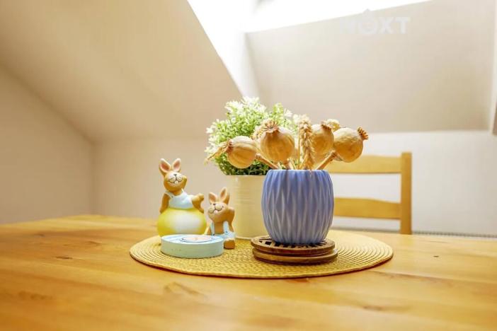 Prodej bytu 4+kk, České Budějovice, Žižkova tř., 113 m2