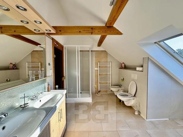 Pronájem bytu 4+kk, Velké Opatovice, Sokolská, 195 m2