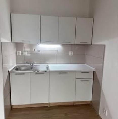 Pronájem bytu 1+kk, Ostrava, Lumírova, 28 m2