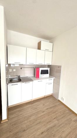 Pronájem bytu 1+kk, Ostrava, Lumírova, 28 m2