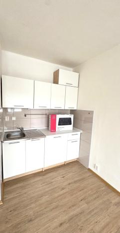 Pronájem bytu 1+kk, Ostrava, Lumírova, 28 m2